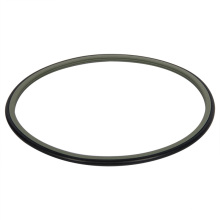 Bronze PTFE Hydraulic Shaft Seals